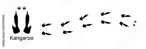 18.Kangaroo. These are kangaroo footprints. It shows the shape of a kangaroo’s footprint and the pattern of the tracks it leaves when moving. This is a vector illustration.