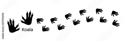 19.Koala. These are koala footprints. This is a vector illustration of koala footprints.
