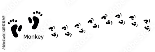 22.Monkey. These are monkey footprints. A vector illustration of a monkey’s footprint shape and footprint trace.
