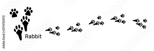25.Rabbit. These are rabbit footprints. A vector illustration showing footprint patterns according to the rabbit’s unique leaping and walking manner in the form of a black silhouette.