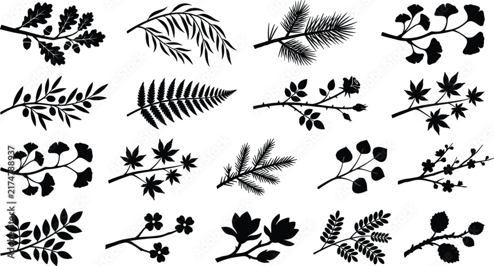 Fototapeta premium Elegant Botanical Branch Silhouette Collection Featuring Oak, Willow, Pine, Berry, Fern, Maple, Eucalyptus, and Decorative Foliage Elements