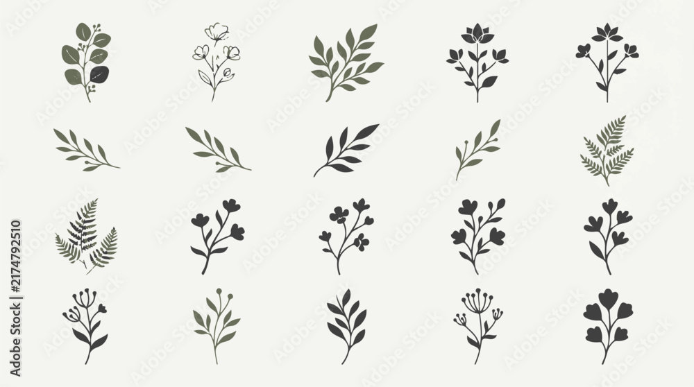 Fototapeta premium Elegant Botanical Vector Illustration of Leaf and Flower Elements