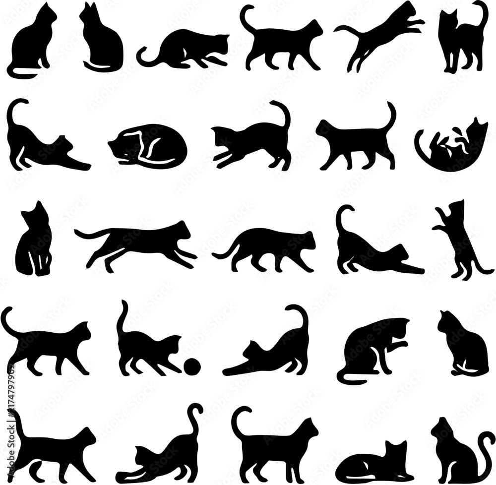 Fototapeta premium set of cats silhouettes