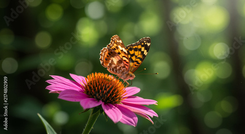 Butterfly landing on pink flower in a lush garden  