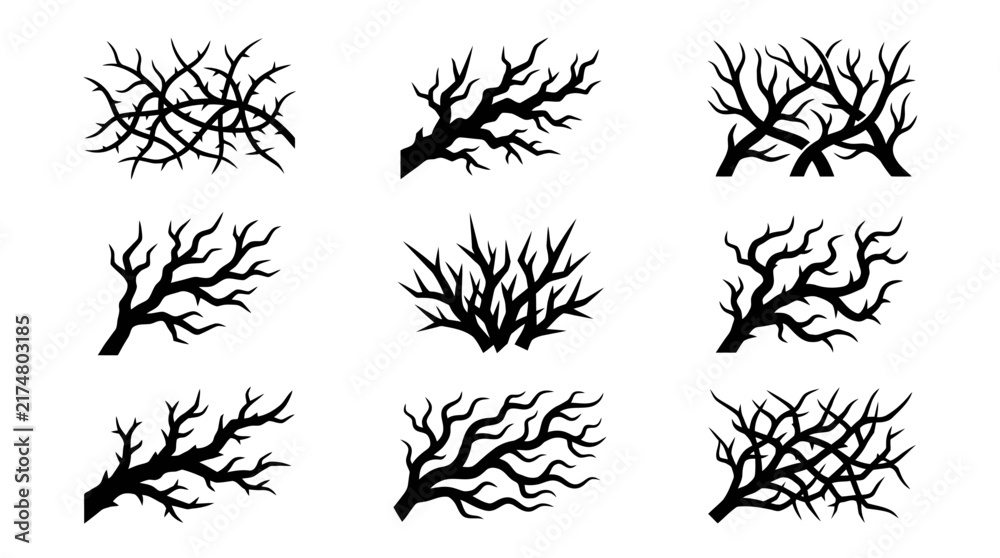 Obraz premium Collection of bare tree branches.