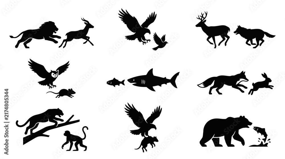Fototapeta premium Silhouettes of various wild animals.