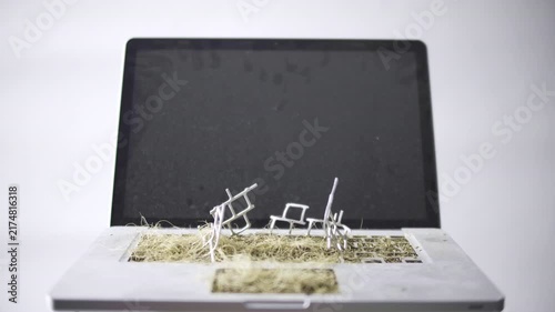 Post Apocalyptic Laptop Reclaimed by Nature with No War Message