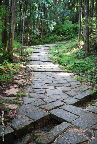 Konstfotografi 緑に囲まれた苔むす石畳の古道