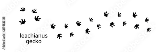 20. leachianus gecko. These are the footprints of leachianus gecko. A vector illustration showing the distinctive footprint shape and gait pattern of a leachianus gecko.