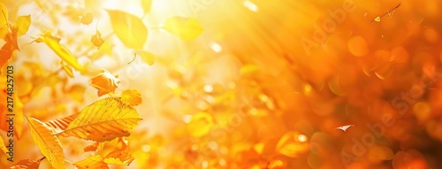 Autumn landscape with blurred autumn leaves.