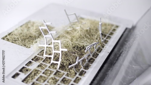 Post Apocalyptic Laptop Reclaimed by Nature with No War Message