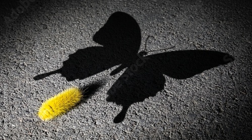 A bright yellow caterpillar on asphalt casting a butterfly shadow with textured asphalt surface fuzzy yellow