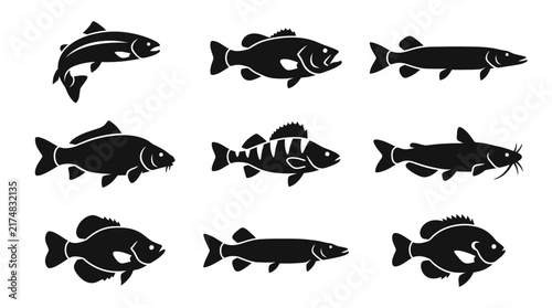 Silhouettes of various fish species.