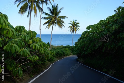 Coastal asphalt road surrounded by tall coconut palm trees and tropical green foliage facing blue ocean