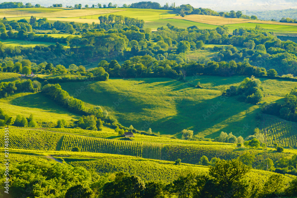 Naklejka premium Green landscape in Pupillin commune, Jura wine region, Bourgogne-Franche-Comte in France.