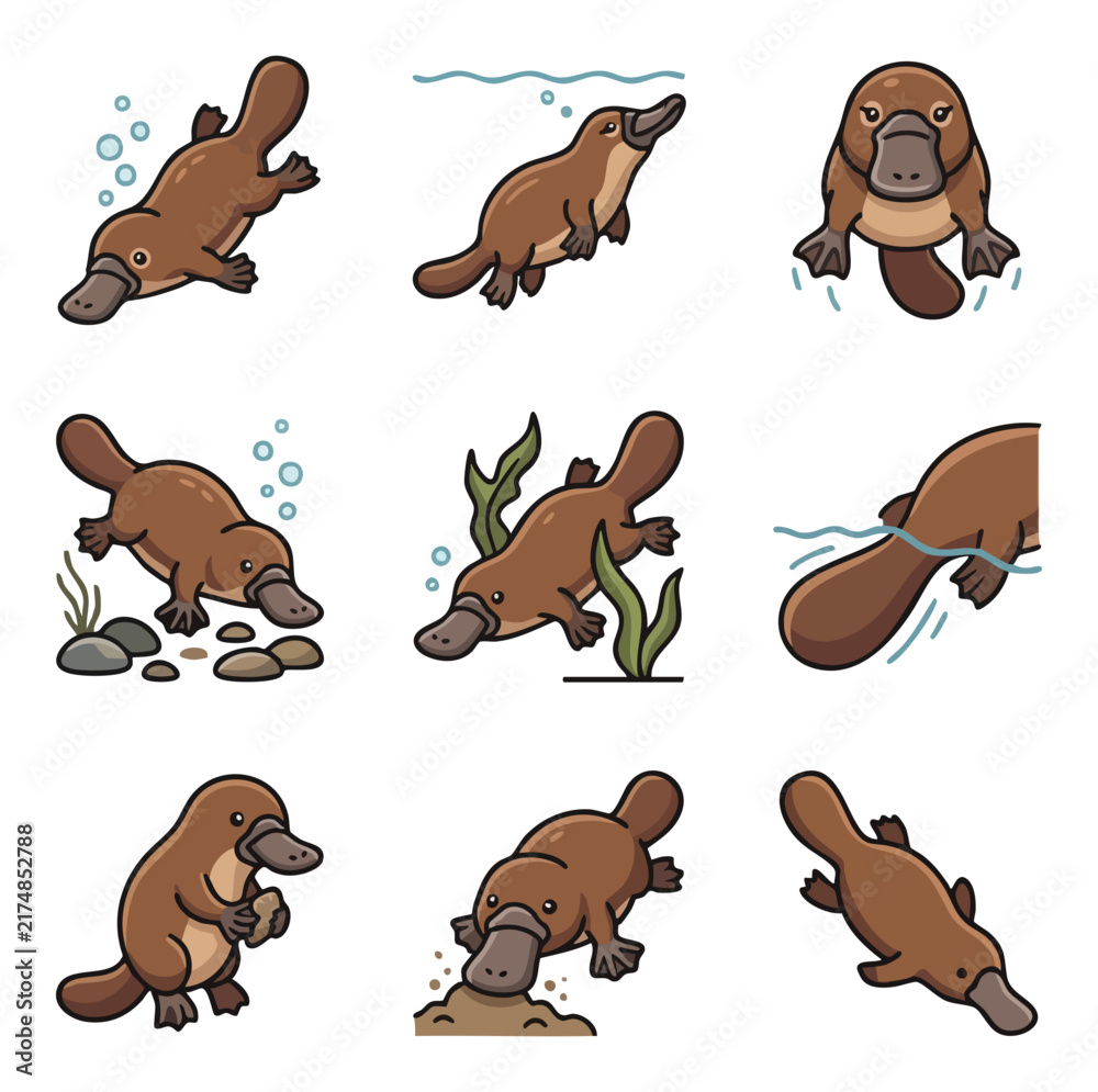 Fototapeta premium Collection of cute platypus icons in various poses and actions