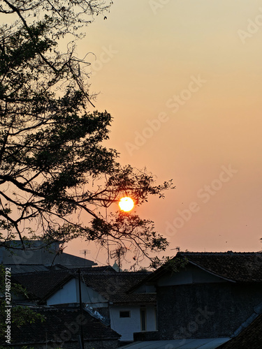 Принти на полотні Warm orange sunset sinks behind silhouetted tree branches above tiled rooftops,