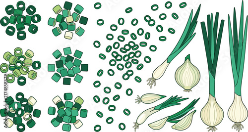 Hand drawn vector set of fresh green onions, spring onions, and chopped scallion pieces