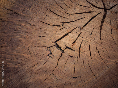 wood texture background