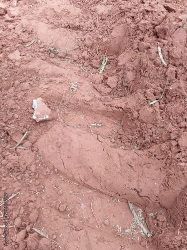 soil Texture of clumpy red soil with a heavy agricultural vehicle wheel print.