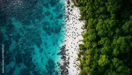 Top down aerial view of tropical white sand beach with turquoise sea water and lush green trees