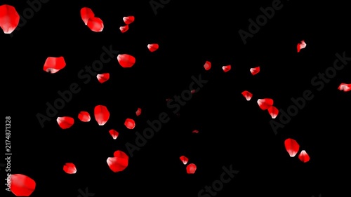 Rose Petals Flying from Background to Foreground - Alpha Channel File