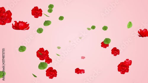 Rose Flowers and Leaves Flying from Background to Foreground- Pink Color Background