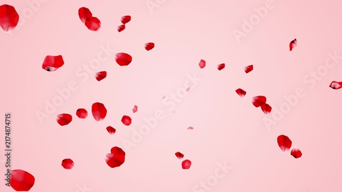 Rose Petals Flying from Background to Foreground - Pink Color Background