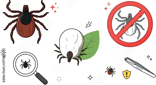 Deer tick warning and prevention vector illustration set featuring engorged parasites magnifying glass removal tweezers and prohibition stop sign isolated on white background