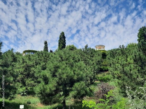 Canvastavla Pine Forest Hillside With Distant Rotunda and Building
