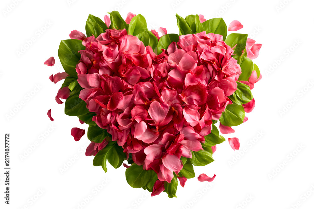 Obraz premium Pink cymbidium orchid flowers and green leaves arranged in heart shape with blooms green foliage isolated on a transparent background