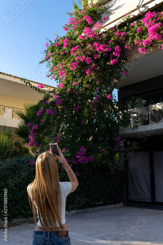 Woman taking photo of bright pink bougainvillea flowers with smartphone in street