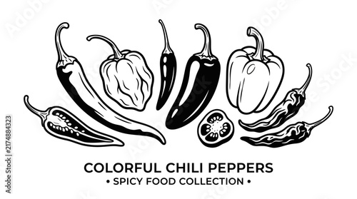 Very beautiful black and white realistic vector illustration of assorted chili peppers with varied shapes and botanical details, COLORFUL CHILI PEPPERS • SPICY FOOD COLLECTION, isolated on white backg