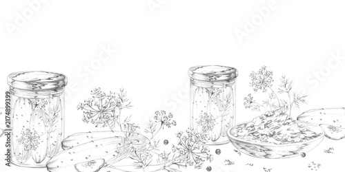 Glass jars of cucumber pickles, preserved vegetables, dill and peppercorns, homemade fermentation ingredients, traditional pantry foods with rustic details. Isolated hand drawn pencil seamless banner.