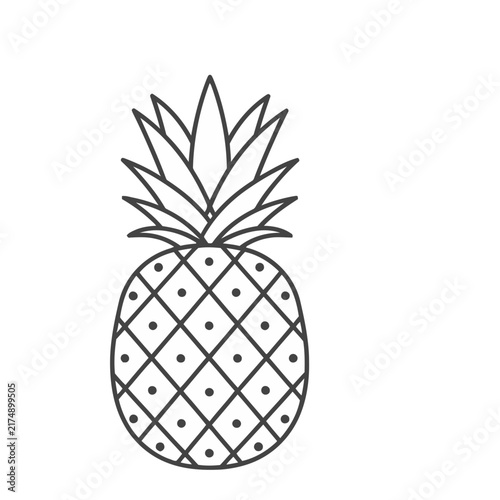 Pineapple outline illustration