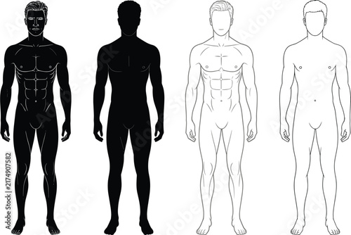 Set of four standing male figures showing muscular anatomy, including detailed black silhouettes and simple line outlines on a clean white background, for reference
