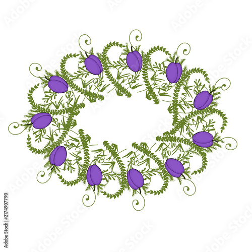 botanical foliage frame with decorative vines, leaves and plum on white background