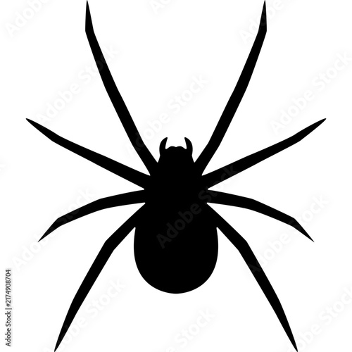 Spider Silhouette Vector