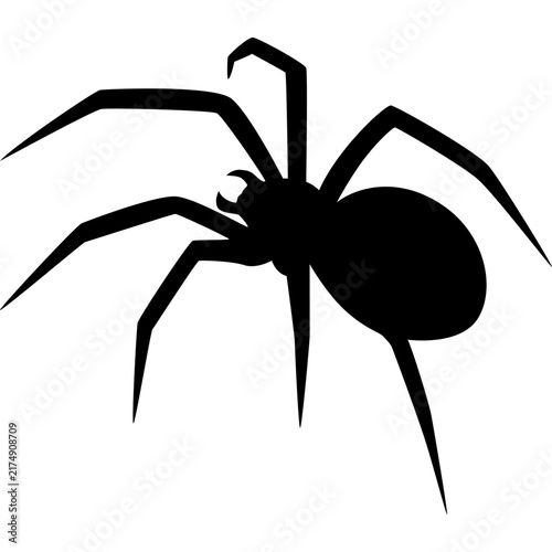 Spider Silhouette Vector