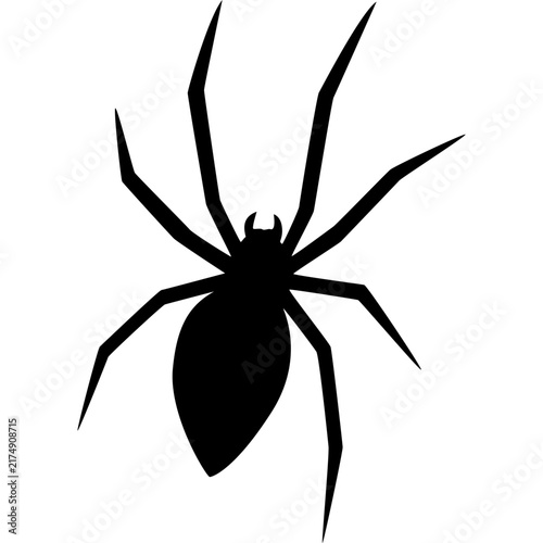 Spider Silhouette Vector