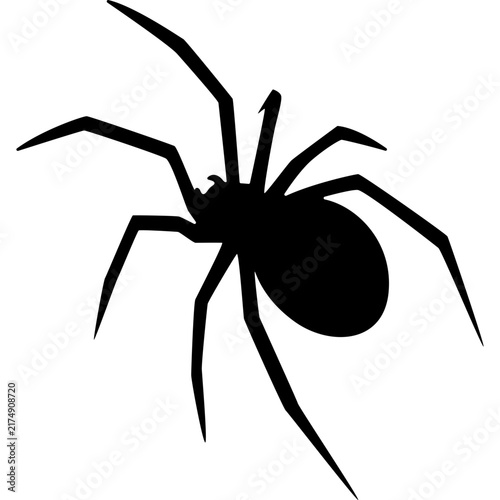 Spider Silhouette Vector