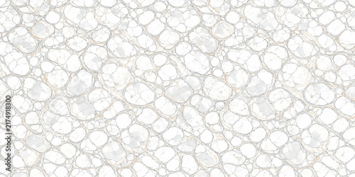 Abstract white cellular network pattern background with organic interconnected shapes network structure abstract texture interconnected cells graphic pattern minimalist background science theme