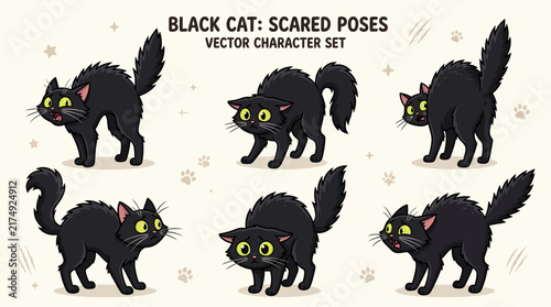 Black cat arching back in scared pose for Halloween or spooky theme