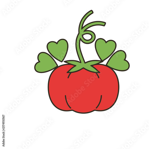 Red tomato with green leaves and vine