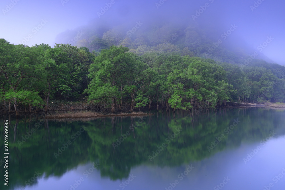 Fototapeta premium 夜明けの静かな湖