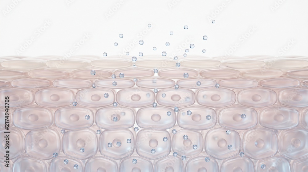 Fototapeta premium Water Molecules Escaping Through the Epidermal Skin Barrier