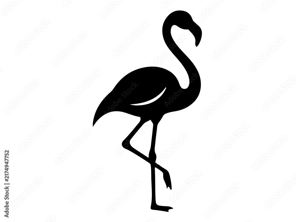 Obraz premium Pink Flamingo Bird Vector, Exotic Tropical Wading Bird Graphic
