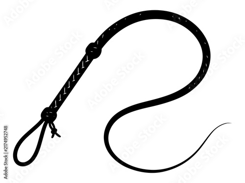 Fotografie Braided Leather Whip Icon