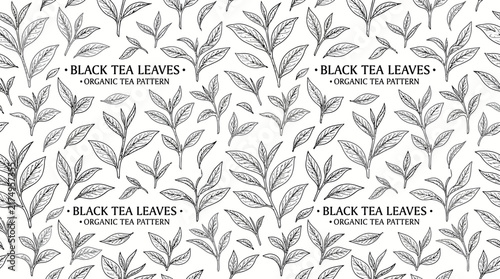Very beautiful realistic vector seamless pattern featuring hand-drawn black tea leaves with organic botanical forms, BLACK TEA LEAVES • ORGANIC TEA PATTERN, isolated on white background, no gradients,