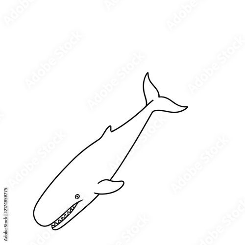 Whale illustration